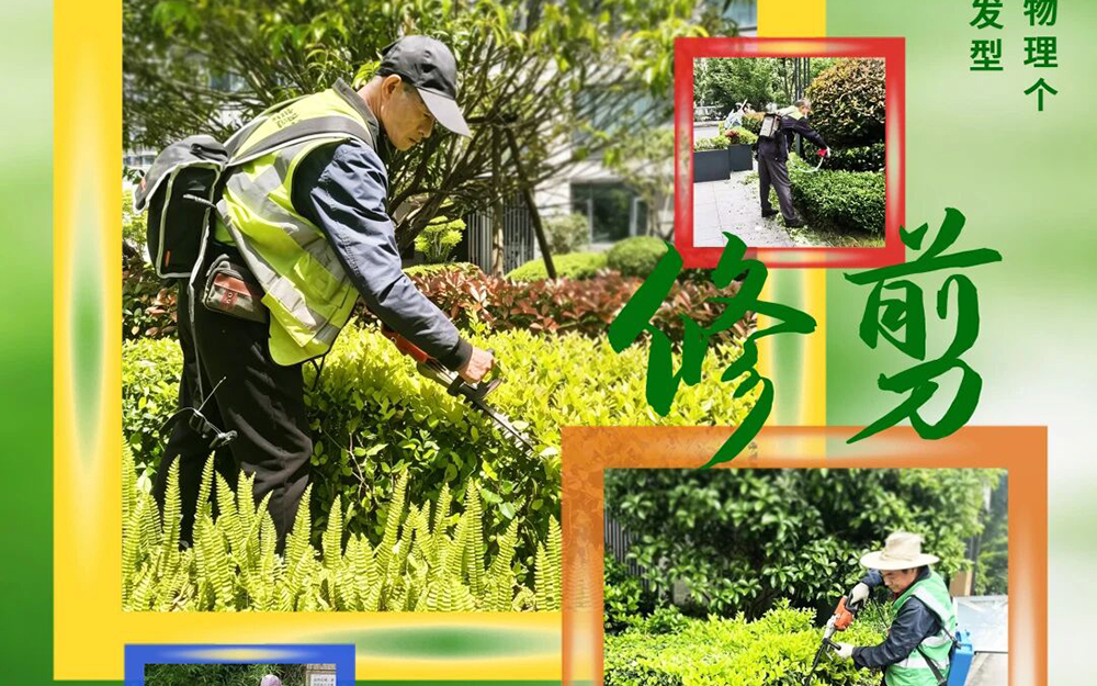 融信服务 | 叠翠计划，让家园常绿常新！