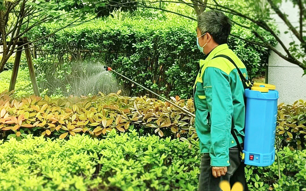 融信服务｜夏天的路已铺好！融信服务陪你从容入夏~