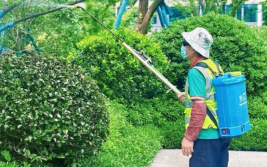 中天美好服务 | 品质焕新，精细养绿，美好持续生长
