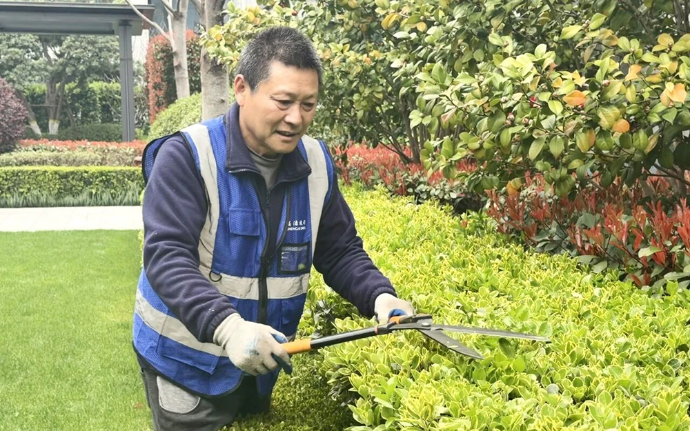 德信盛全服务 | 揭秘！社区的春天模式，靠这招“焕颜术”提前上线
